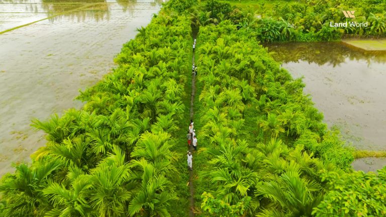 Land World project photograph