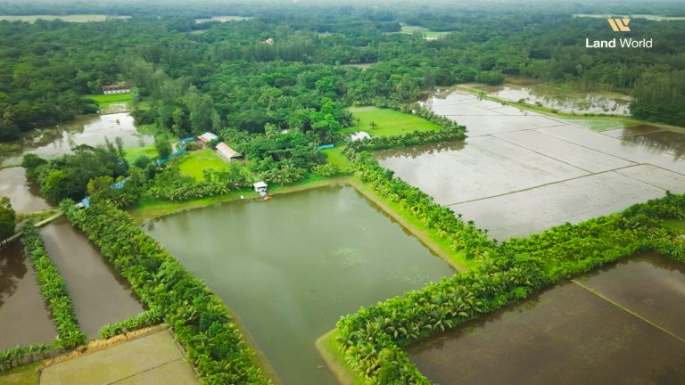 Land World project photograph