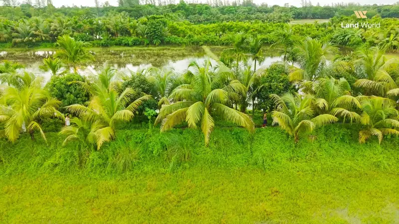 Supari garden at Land World Agro Resort